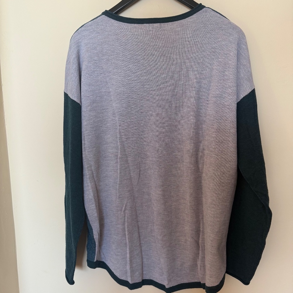 Smartwool Shadow Pine Colorblock Crew - Size Xl - image 4